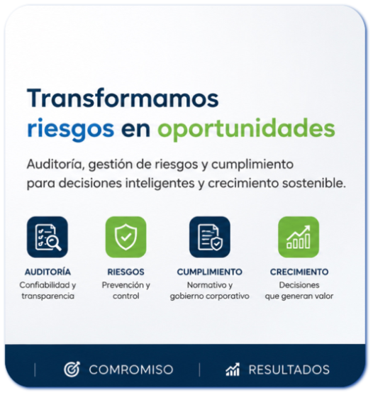 Auditoria y gestion de roesgos en Colombia.